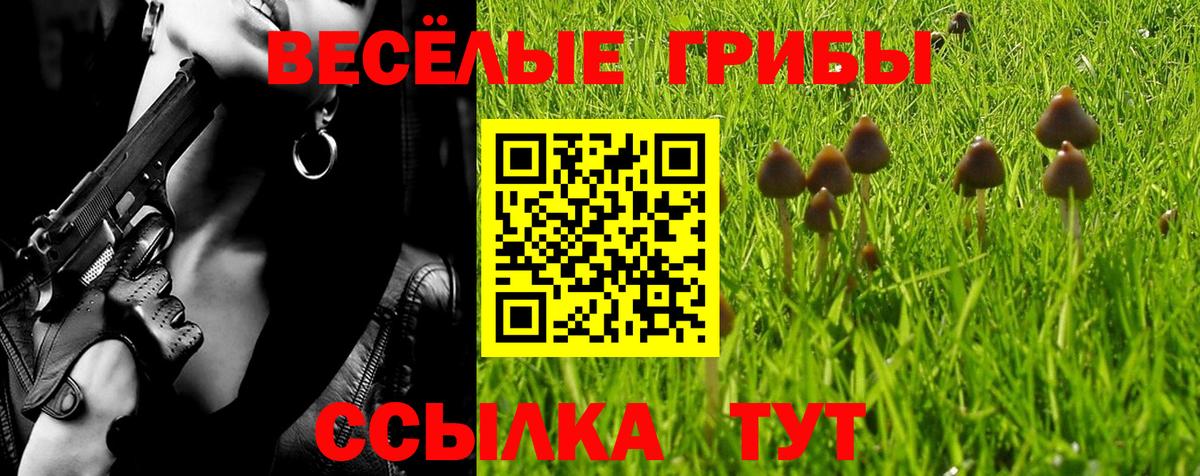 Галлюциногенные грибы мицелий  Псилоцибиновые грибы Magic Shrooms  Будённовск  Вход с VPN 